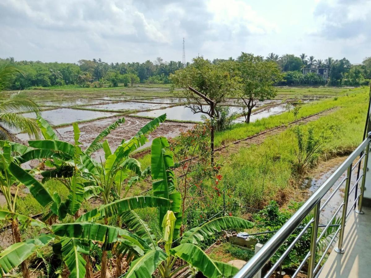 Freedom Of Green Rice View Anuradhapura Eksteriør billede