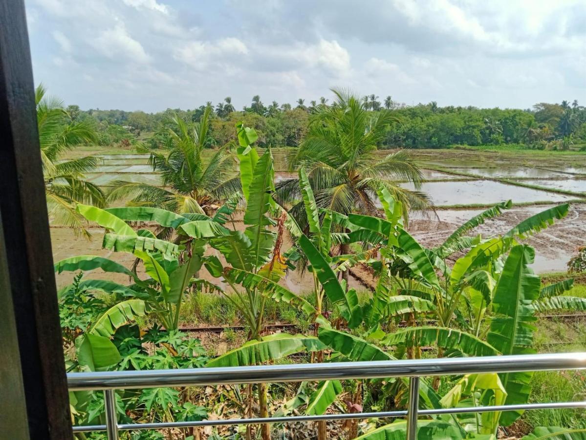 Freedom Of Green Rice View Anuradhapura Eksteriør billede