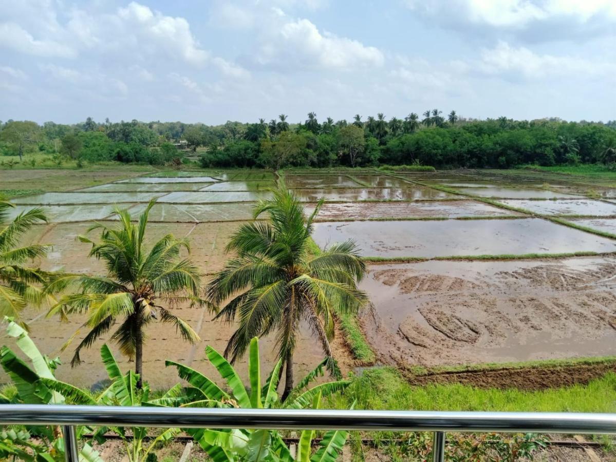 Freedom Of Green Rice View Anuradhapura Eksteriør billede