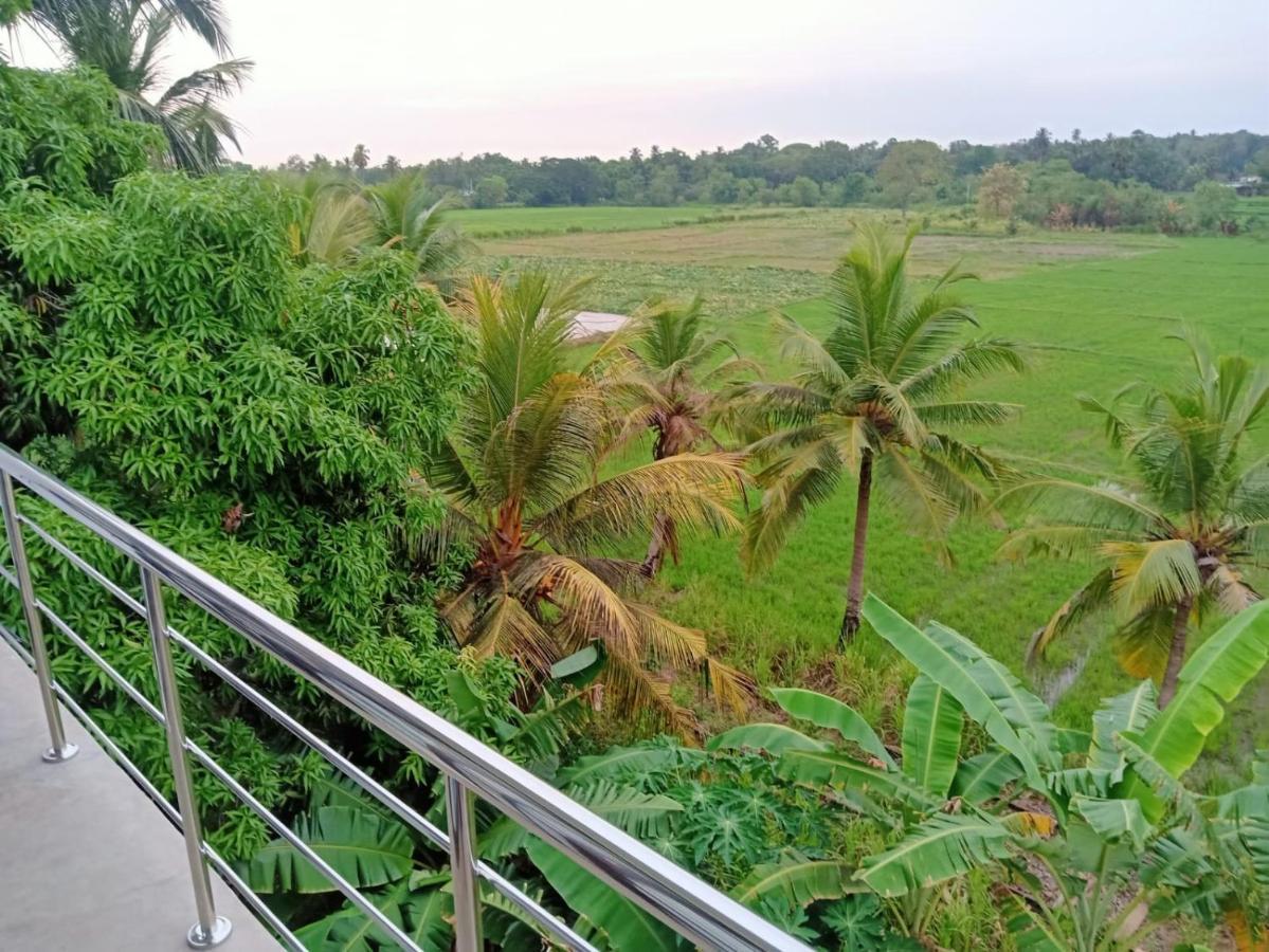 Freedom Of Green Rice View Anuradhapura Eksteriør billede